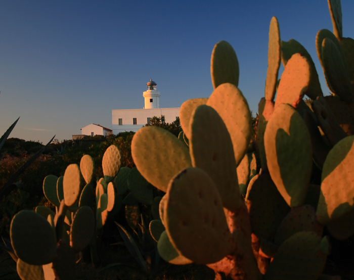 Capo Ferro 5