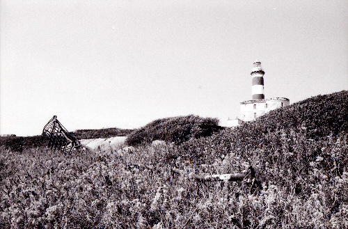 Isola dei Cavoli 5