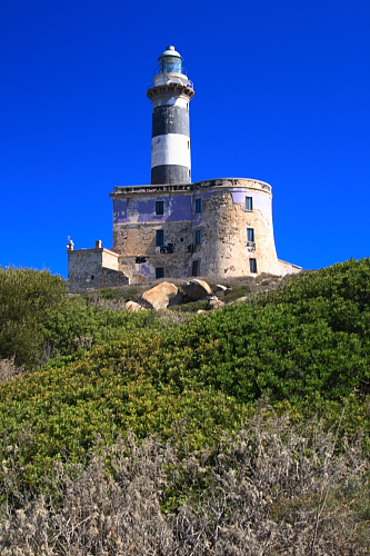 Isola dei Cavoli 31