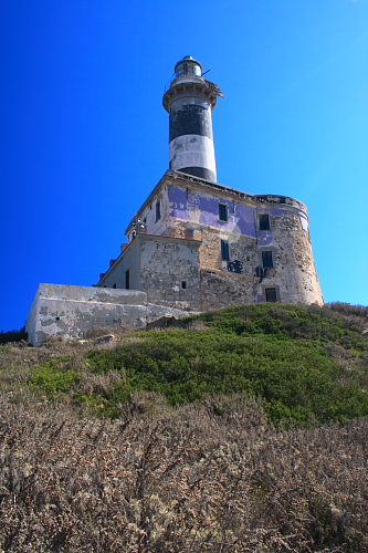 Isola dei Cavoli 32