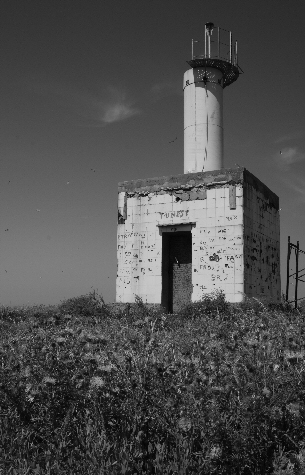 Isola Mal di Ventre 7