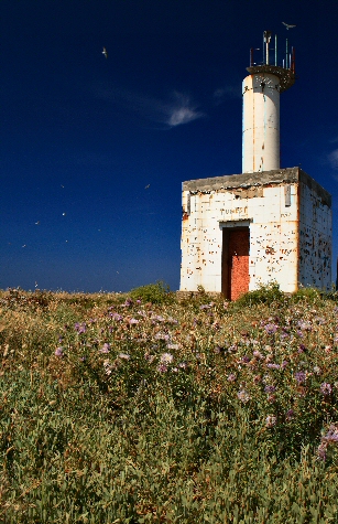 Isola Mal di Ventre 8