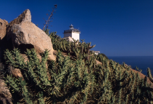 Capo Ferrato 4