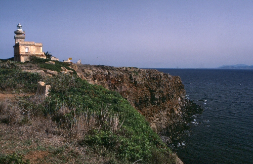 Capo S.Marco 8