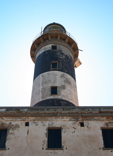 Isola dei Cavoli 33