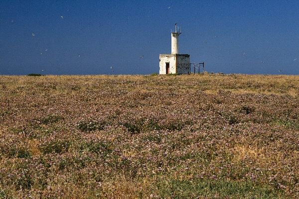 Isola Mal di Ventre 2