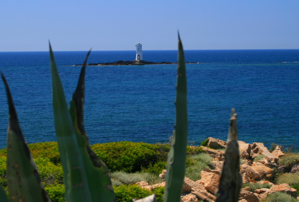 Scoglio Mangiabarche 27